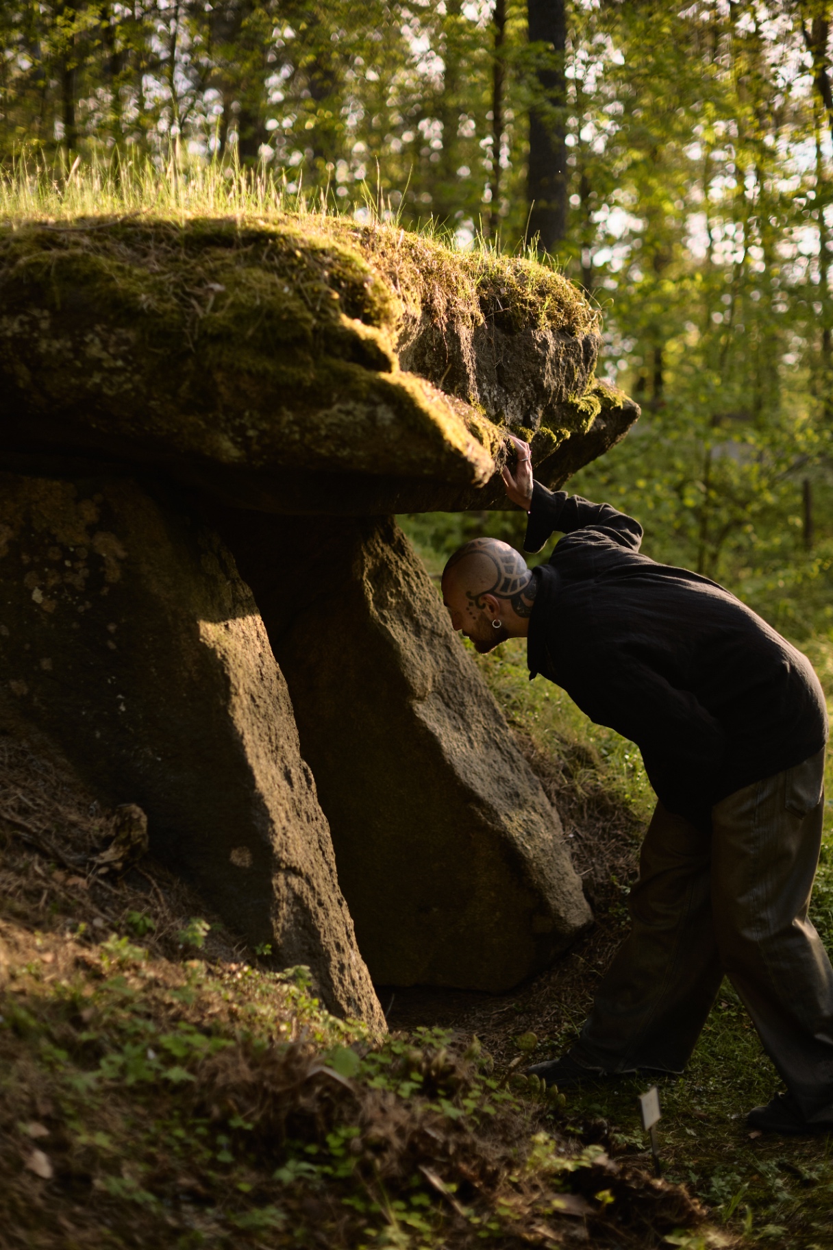 PLATO lutar sig in under ett mossigt stenblock i skogen